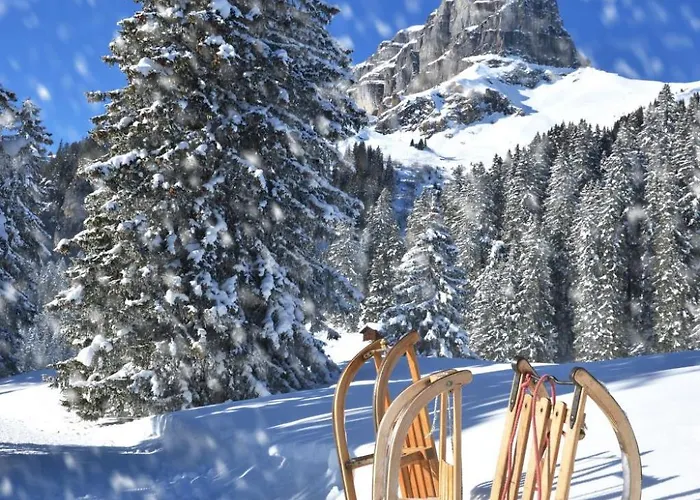 Apartment Seewiese Apt- 204 By Interhome