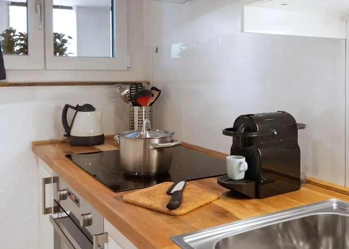 Seewiese Apt- 204 By Interhome