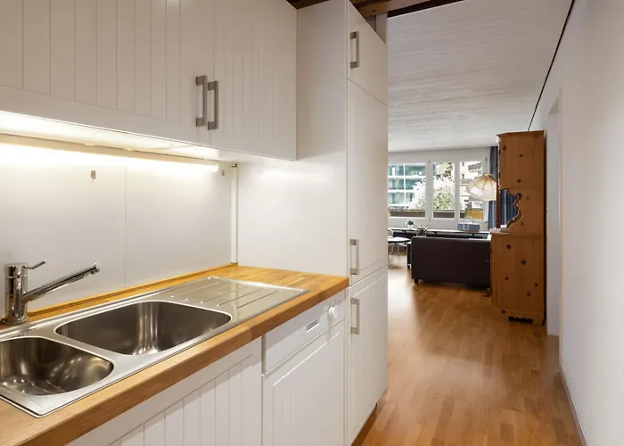 Seewiese Apt- 204 By Interhome 아파트 *